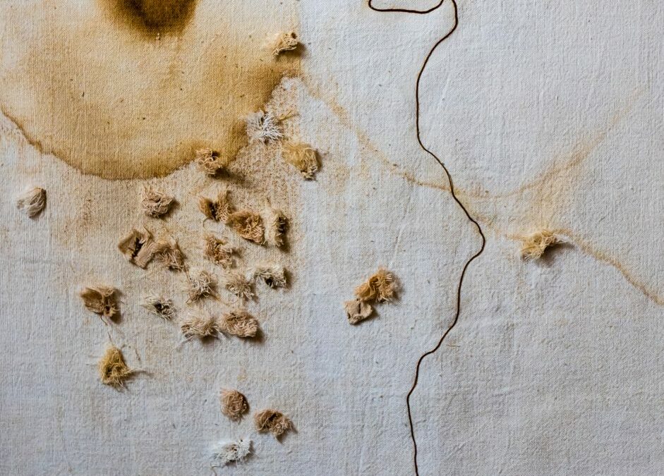 Mite(s) ou réalité