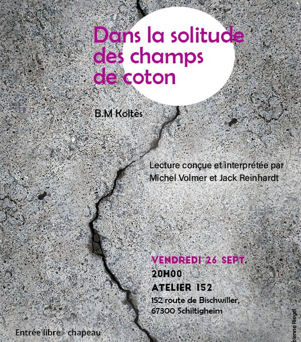 Lecture « Dans la solitude des champs de coton »