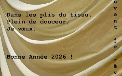 Voeux 2026